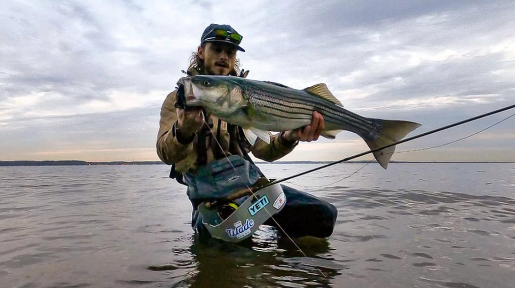 Timing is Everything When Fishing for Striped Bass